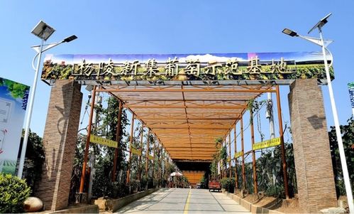 陕西发布21条秋季乡村休闲旅游精品线路，邀您尽享秋日田园风光